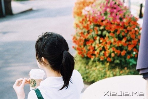 心似莲开,清风自来 (4)