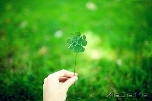 轻拥欢笑,温柔静坐 (6)