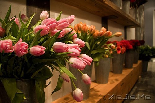 不要轰轰烈烈,只求安安心心 (8)