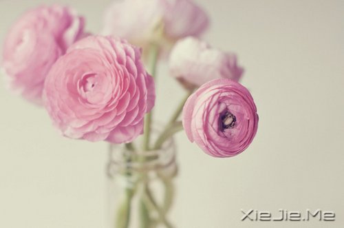 一心一意,是世界上最温柔的力量 (1)