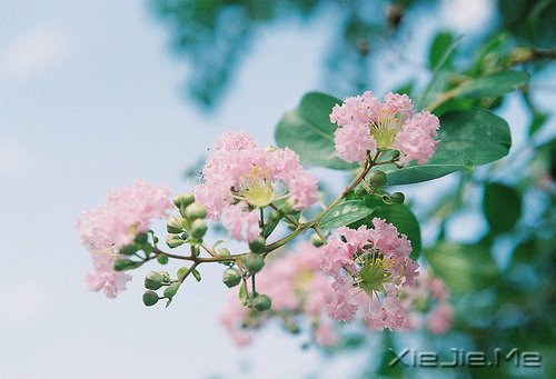 做最真实的自己,才是最好的 (3)