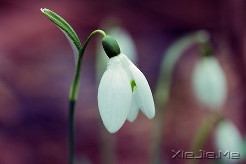 每个人都有自己的人生,冷暖自知 (4)