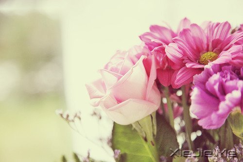 我不怕长大,而是怕你们老去 (9)