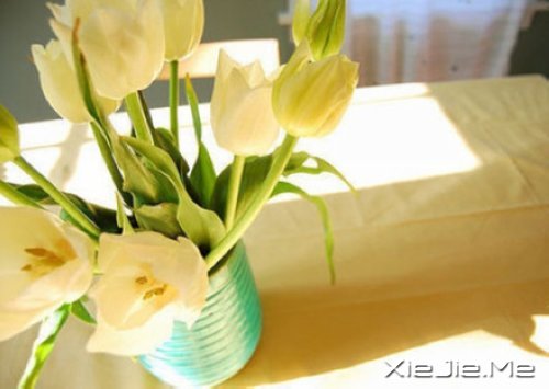 有的人你看了一眼,却惦念了一生 (6)