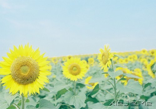 私奔吧,哪怕一个人 (8)