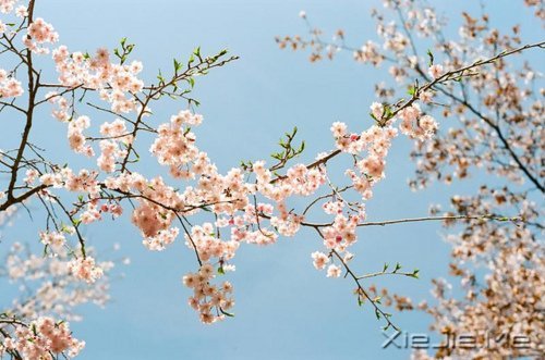 生命,只需要一个甜美的微笑 (3)