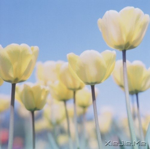 爱自己的人,才会有人爱 (4)
