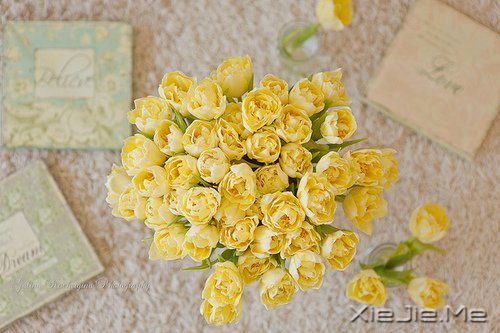 生一分钟气,就失去了60秒的快乐 (1)