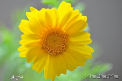 淡然一切,往事如烟 (9)