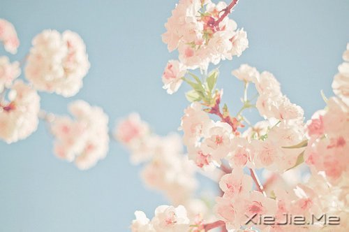 人生有多残酷,你就该有多坚强 (8)