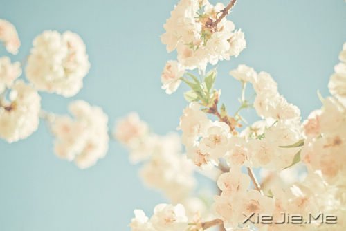 活得平和,才能在心里装下满满的幸福 (5)