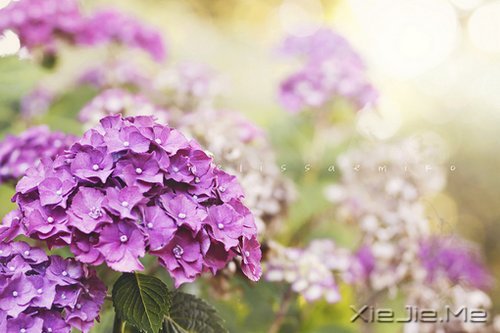 我不完美,但我是完整的自己 (8)