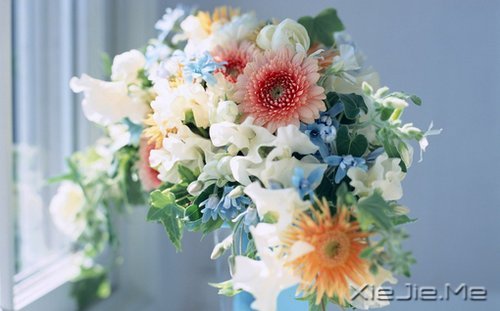 早安心语:浅浅遇,淡淡忘 (5)