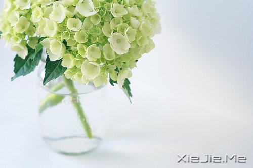 愿在我最美的时光,遇见最美好的你 (6)