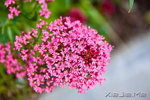 请你善良,无论这世界多冷漠 (1)