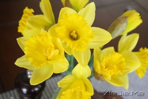 最深的孤独不是一片黑暗,而是你只能看到自己 (6)