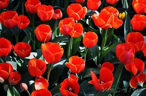 有人能让你痛苦,说明你的修行还不够 (3)