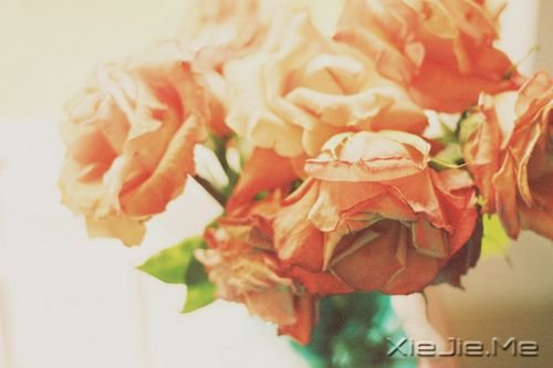 千万不要因为走的太久,而忘记了我们为什么出发 (1)