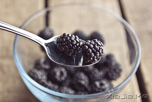 早安心语:生活的美好缘于拥有一颗平常心 (9)