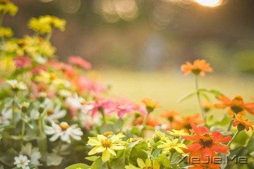 留下的,才是人生 (7)