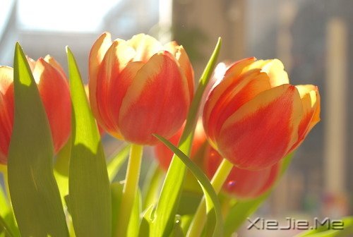 留下的,才是人生 (8)