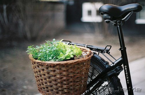 早安心语:生命是自己的旅程,不要活成别人 (5)