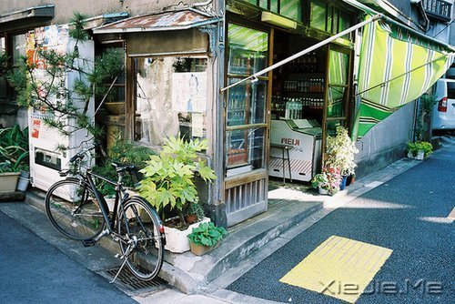 早安心语:安慰别人的话,终究安慰不了自己 (2)