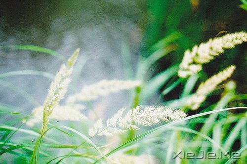 晚安心语:给时光以生命,而不是给生命以时光 (12)