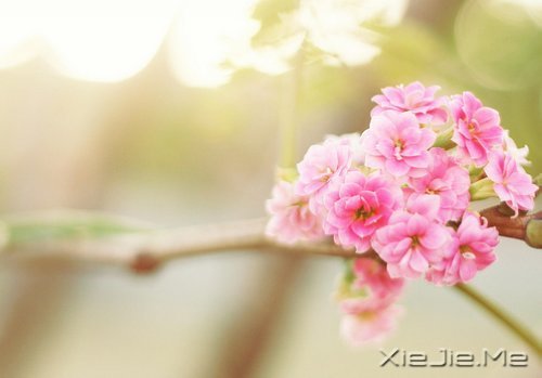 �簲�����Ϊ����Ϊ���ˣ����˲����˵��� (1)