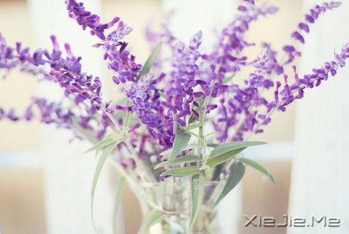 �簲������Լ����������ǣ������Ǳ��������еĿ��� (12)