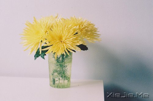 晚安心语:人不怕走在黑夜里,就怕心中没有光 (1)