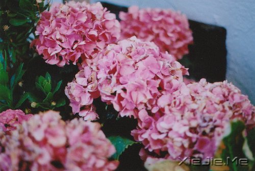 晚安心语:人不怕走在黑夜里,就怕心中没有光 (6)