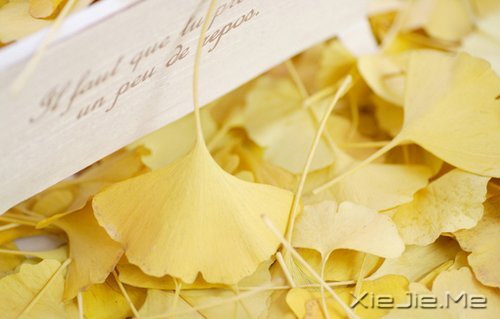 晚安心语:成熟的一面是给外人看的,幼稚的一面是给爱人看的 (5)