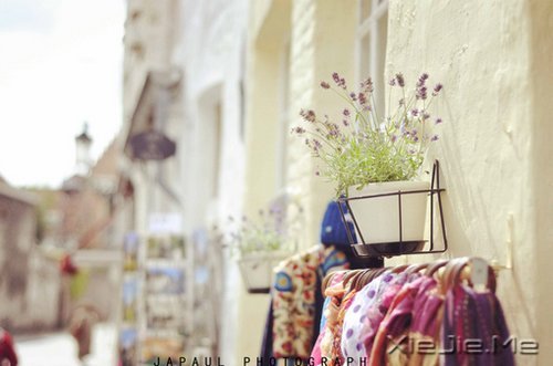 晚安心语:成熟的一面是给外人看的,幼稚的一面是给爱人看的 (7)