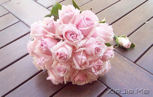 梦想很轻,却因此拥有飞向蓝天的力量 (5)