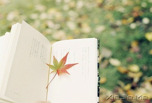 在时间的渡口,我们皆是过客 (7)