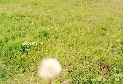 在时间的渡口,我们皆是过客 (10)