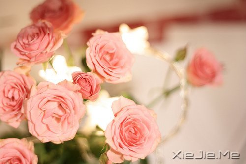 早安心语:你想要的,岁月都会给你 (4)