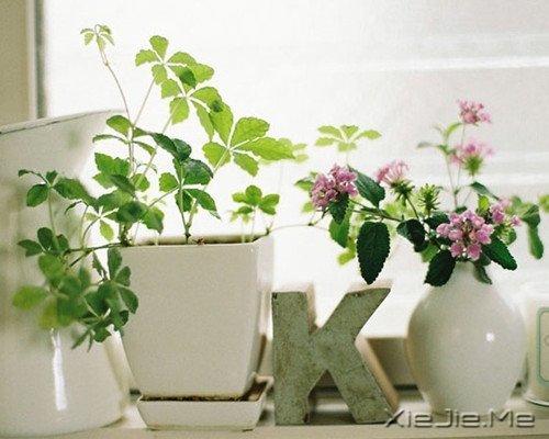 1 (2) 我正在努力变成自己喜欢的那个自己 (2)