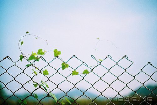 早安心语:不沉溺幻想,不庸人自扰 (2)