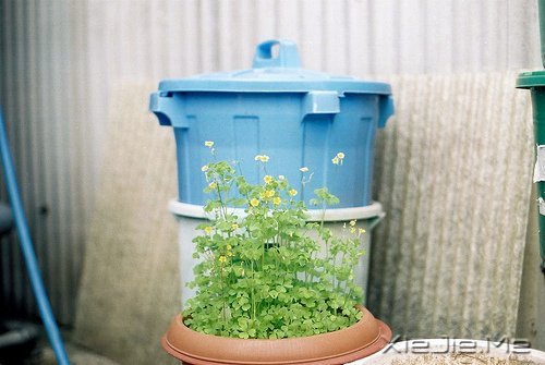 悲伤唤不回流逝的时光 (6)