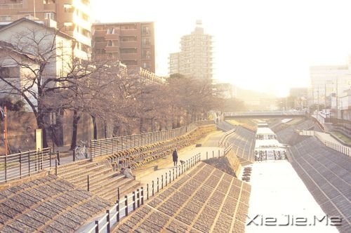 晚安心语:最好的决定,往往是不假思索的那一个 (3)