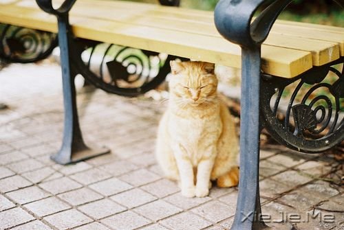 晚安心语:最好的决定,往往是不假思索的那一个 (4)