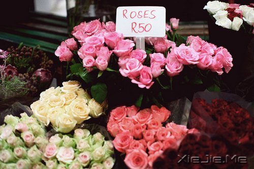 晚安心语:人心本无染,心静自然清 (4)