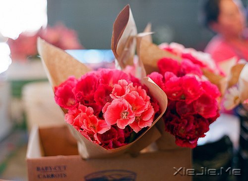 晚安心语:微笑着去等待,做最好的自己 (1)