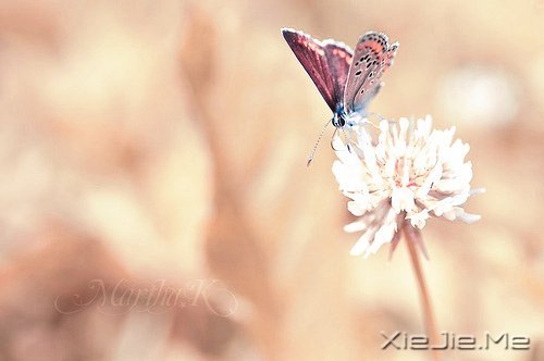 ��δ���������������ǰ�һ���׸����� (7)