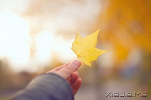 ����������㶮�ã�������ϧ (1)