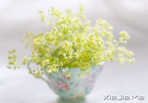 早安心语:淡然,是人生的一种成长 (2)