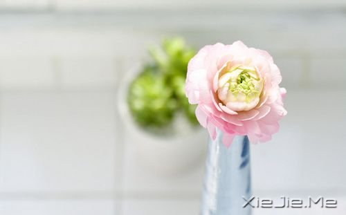 晚安心语:勇敢生活,微笑面对 (9)