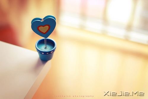 �簲����벻���Ͳ��룬�ò����Ͳ�Ҫ (8)